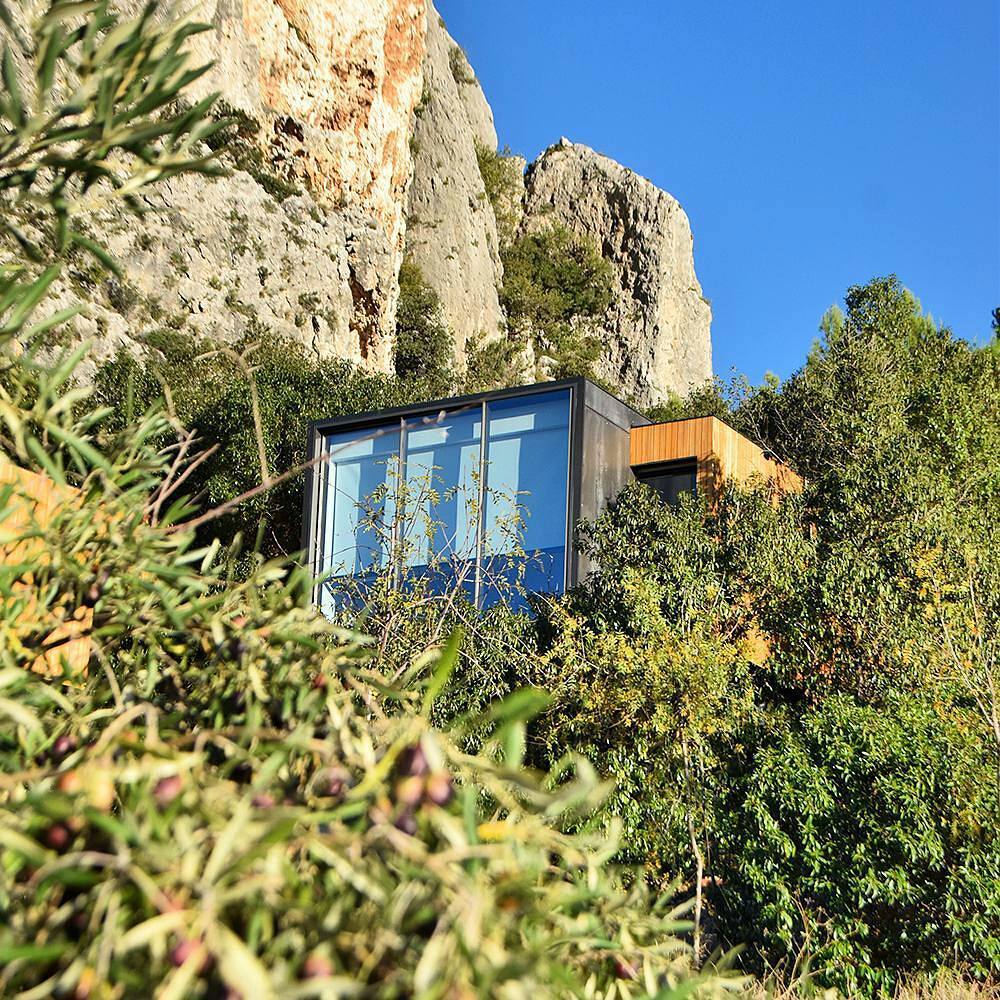 24274162 1555577977841369 4964503301027528704 n